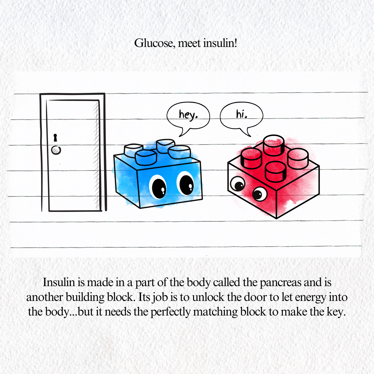 Diabetes Education - Blank Page Series