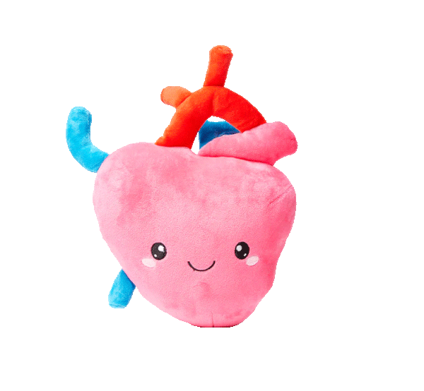 Heart Plush Organ - Nerdbugs Heart Plushie Organ - I aorta to tell you how much I love you