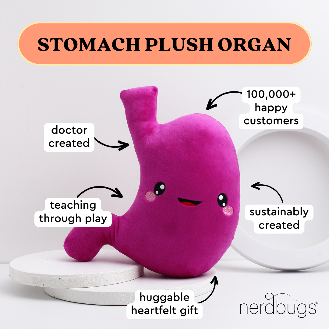 Stomach Plush Organ - Nerdbugs Stomach Plushie Organ - I've gut a good feeling about this