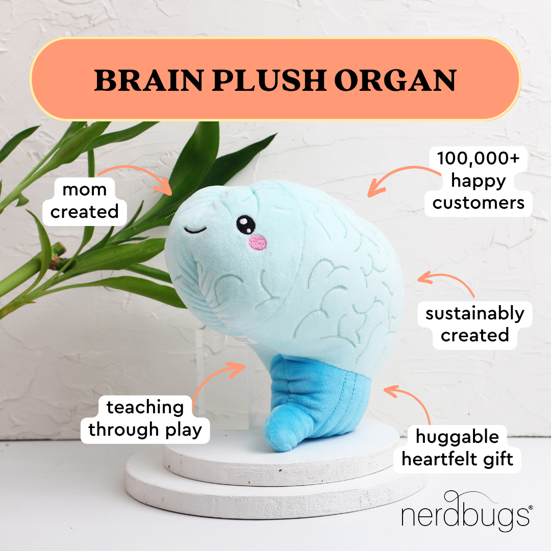 Brain Plush Organ - Nerdbugs Brain Plushie Organ - Love on the brain!