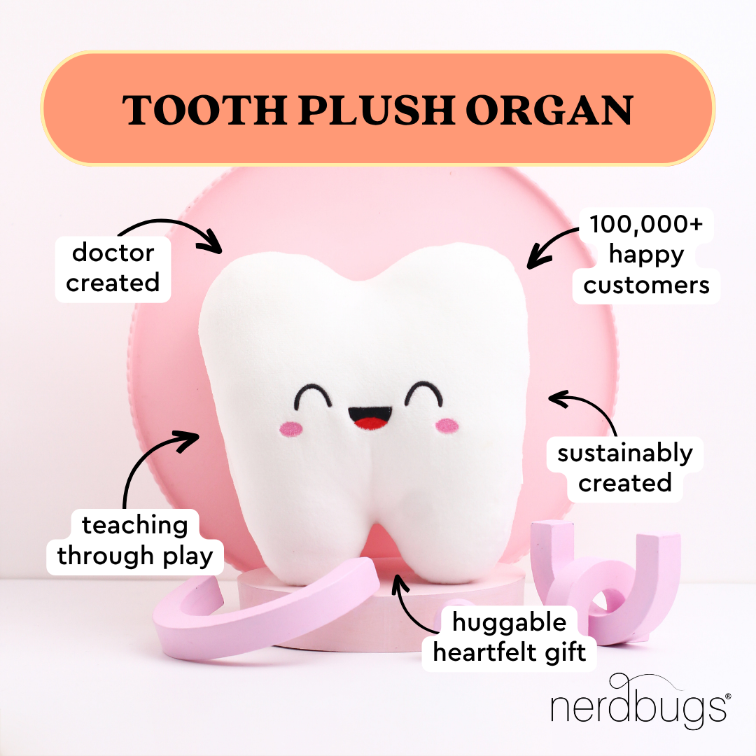 Tooth Plush Organ - Nerdbugs Tooth Plushie Organ - The molar the merrier!
