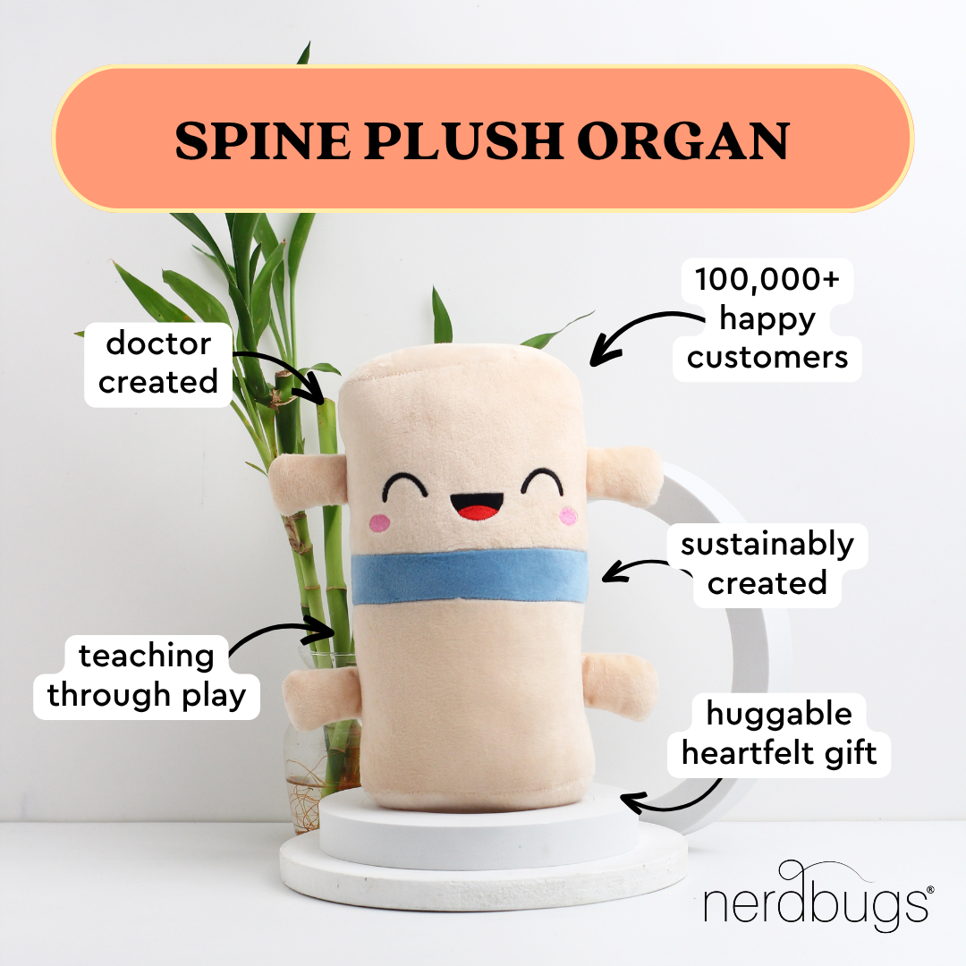 Spine Plush Organ - Nerdbugs Spine Plushie Organ - Baby got back!