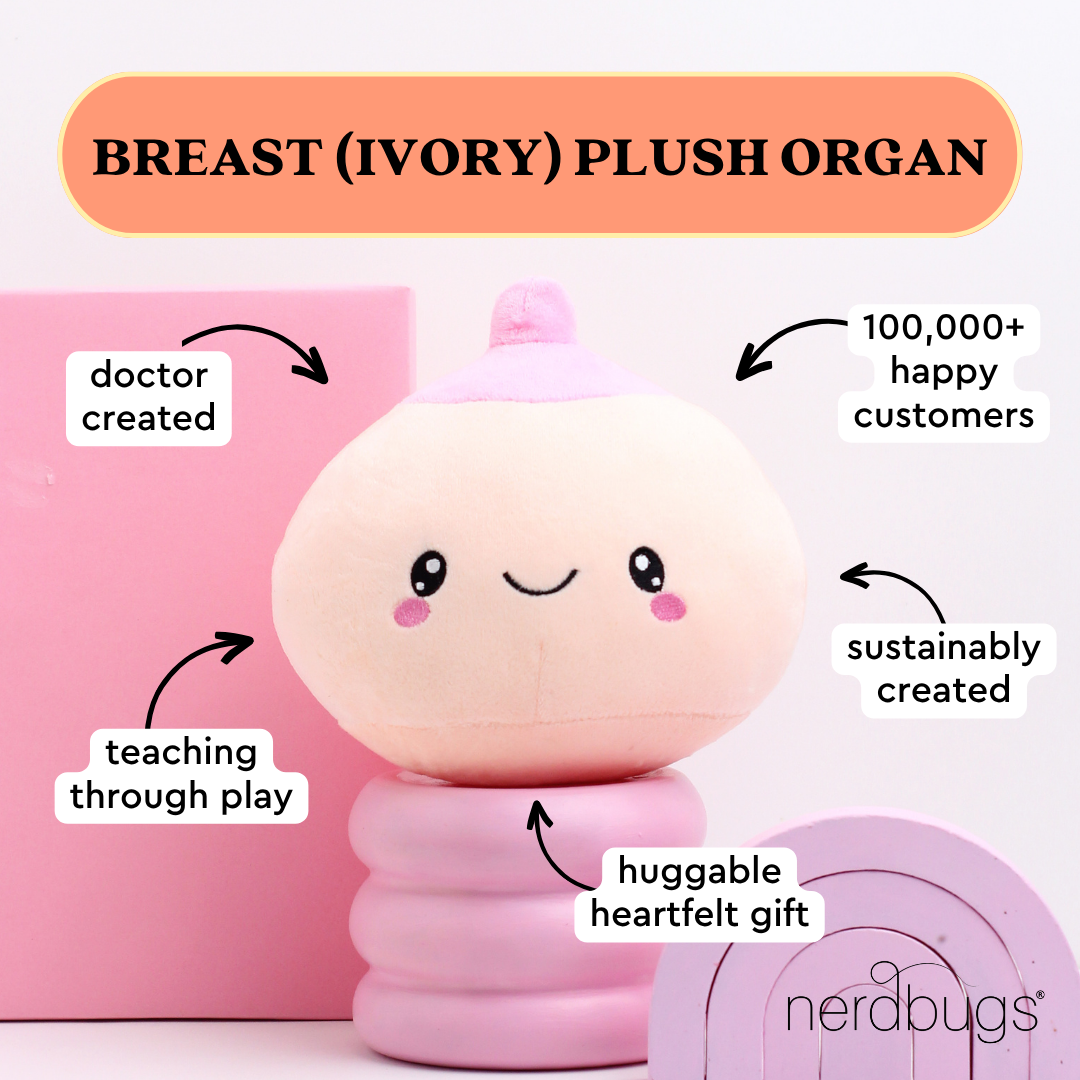 Breast Plush Organ - Nerdbugs Breast Plushie Organ - Breast is yet to come! Ivory/Pink