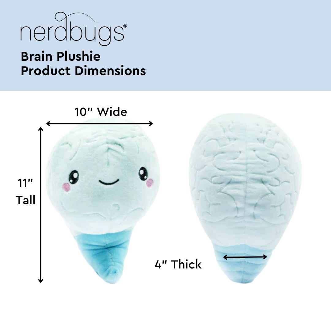 Brain Plush Organ - Nerdbugs Brain Plushie Organ - Love on the brain!