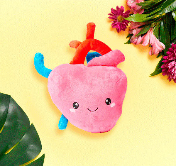 Heart Plush Organ  - Nerdbugs Heart Plushie Organ - I aorta to tell you how much I love you
