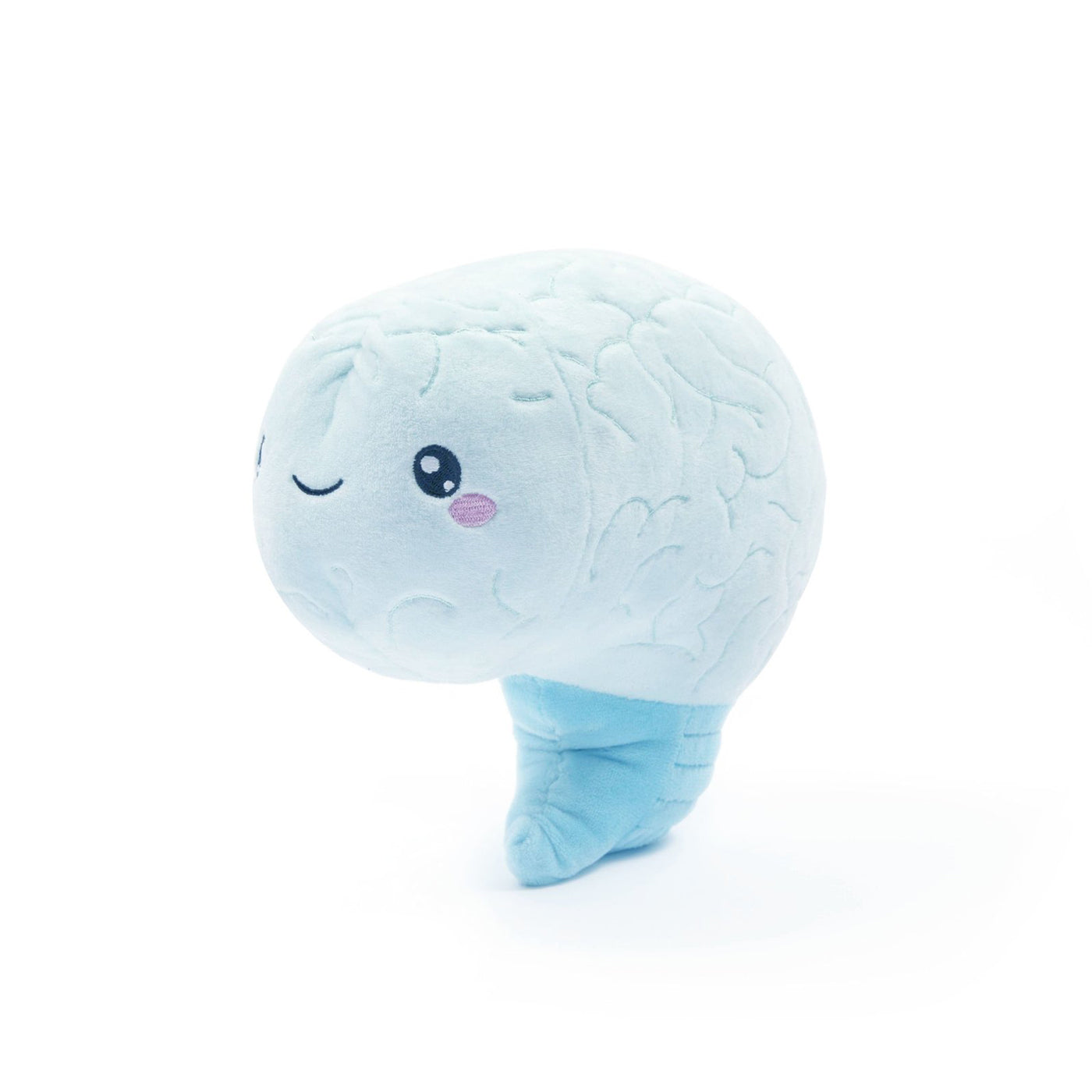 Brain Plush Organ - Nerdbugs Brain Plushie Organ - Love on the brain!