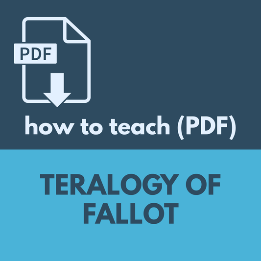 Tetralogy of Fallot: PDF Guide