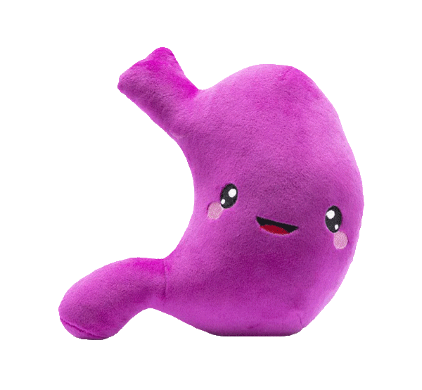 Stomach Plush Organ - Nerdbugs Stomach Plushie Organ - I've gut a good feeling about this