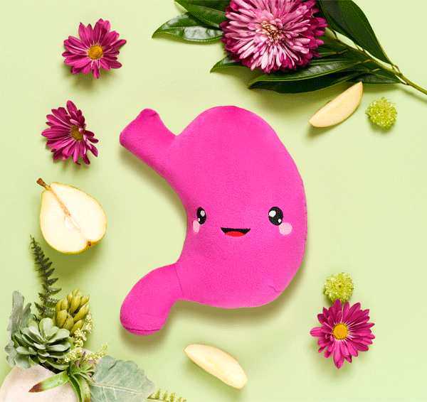 Stomach Plush Organ - Nerdbugs Stomach Plushie Organ - I've gut a good feeling about this