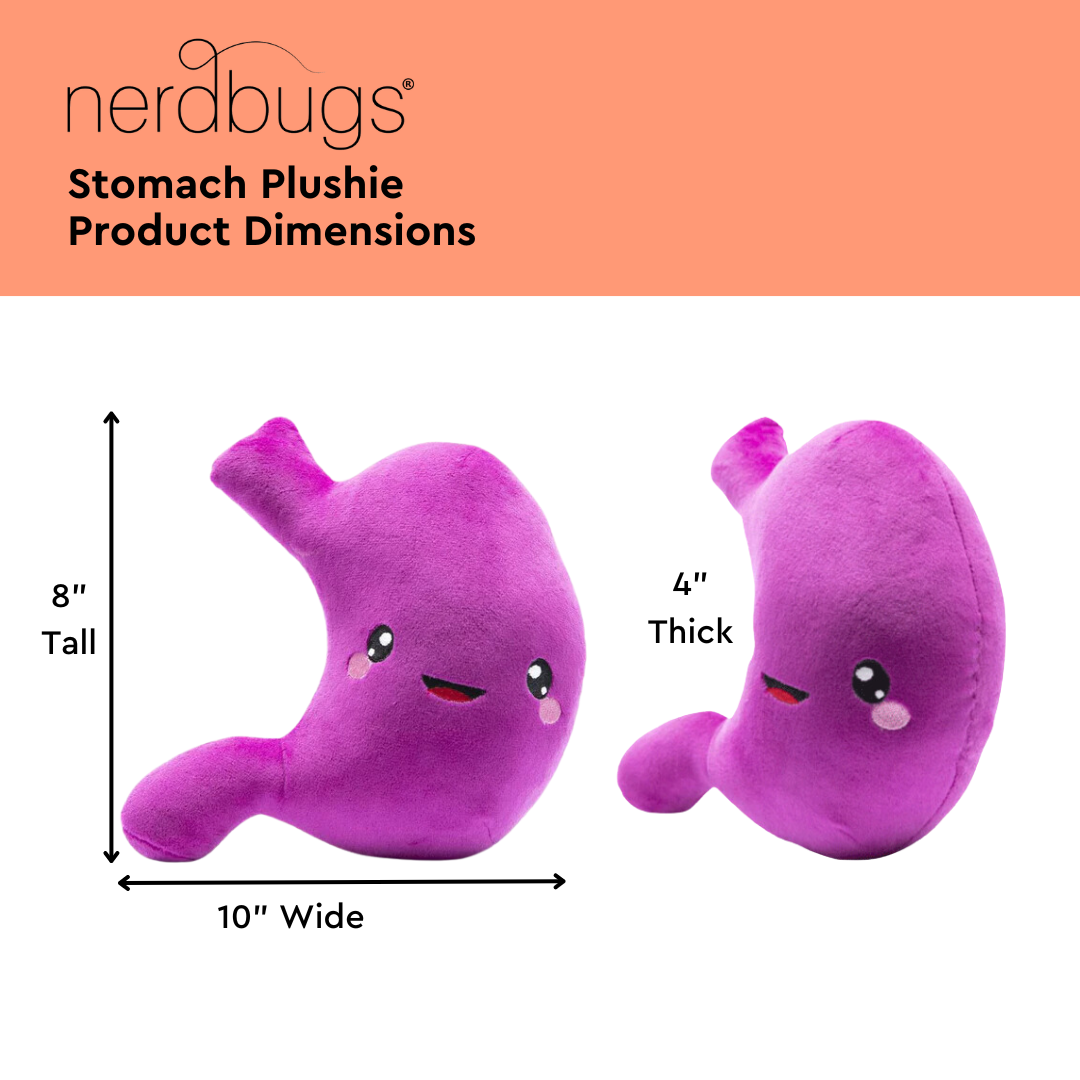 Stomach Plush Organ - Nerdbugs Stomach Plushie Organ - I've gut a good feeling about this