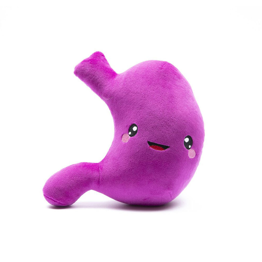 Stomach Plush Organ - Nerdbugs Stomach Plushie Organ - I've gut a good feeling about this